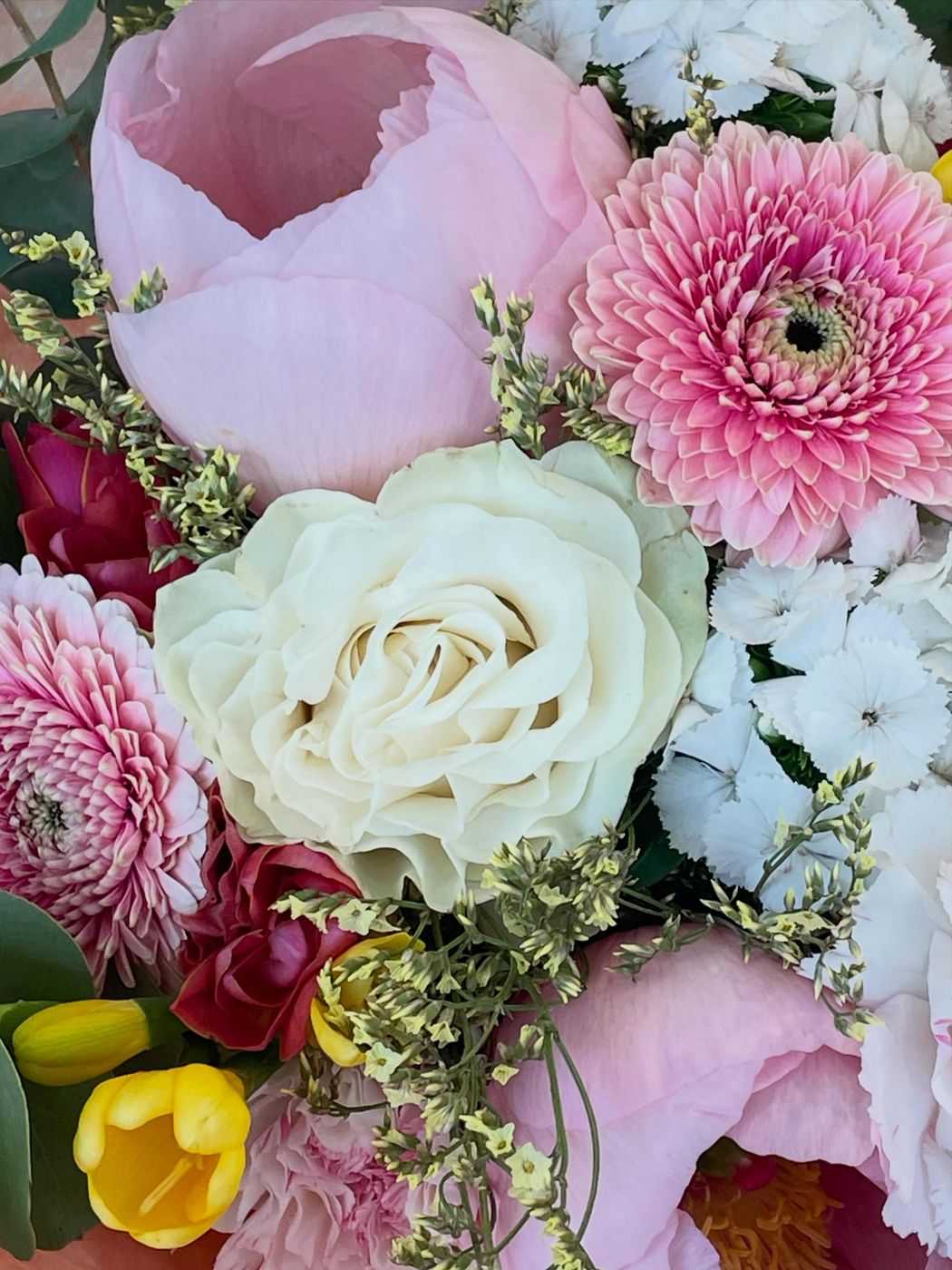 Peonie, gerbere, rose bianche e tulipani