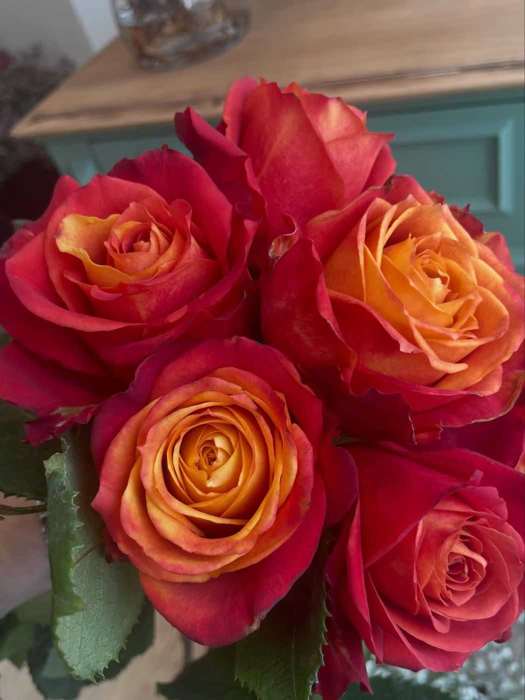 Rose arancio e rosse